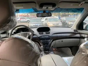 Acura MDX 2010 Gray