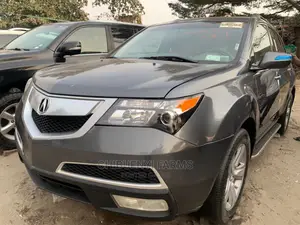Acura MDX 2010 Gray
