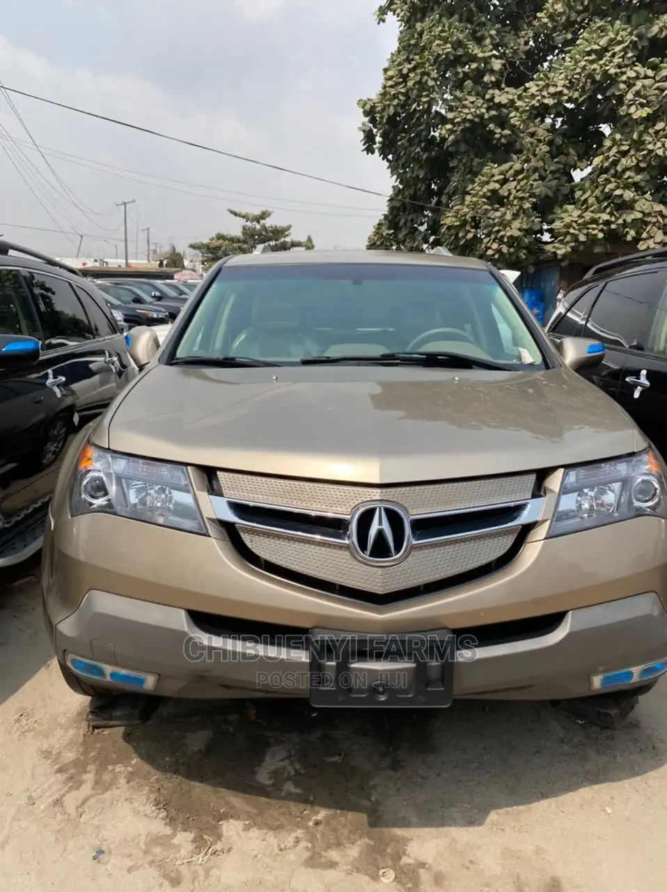 Acura MDX 2009 Gold