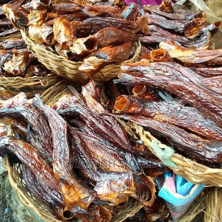 Seafood From Harvard
