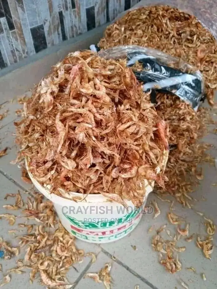 Seafood From Harvard