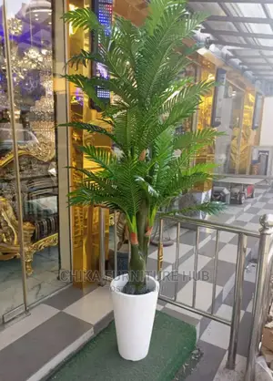 Plants Flowers