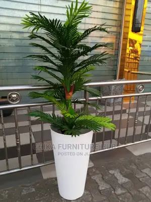 Quality Plants