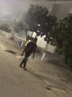 Fumigation Service