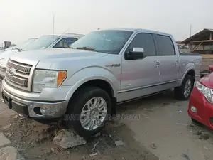 Ford F-150 Platinum 2012 Silver