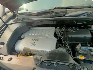Lexus RX 350 2007 Gray