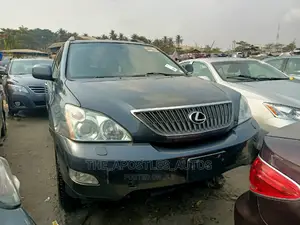Lexus RX 350 2007 Gray