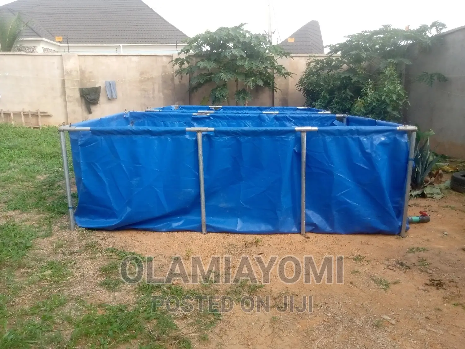 Affordable Fish Pond (Pay on Delivery)