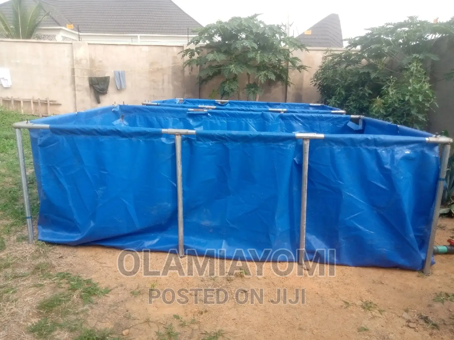 Affordable Fish Pond (Pay on Delivery)