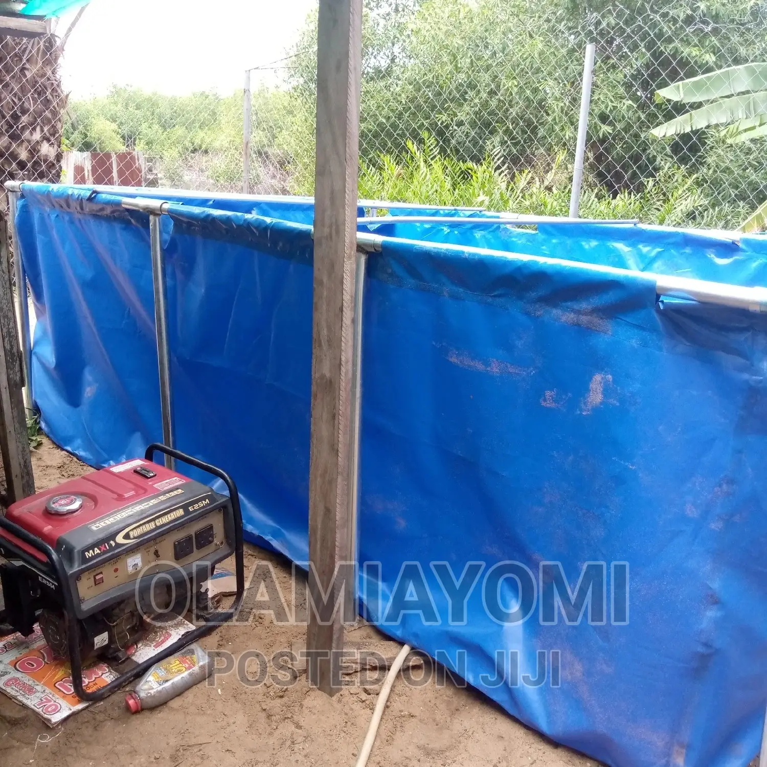 Affordable Fish Pond (Pay on Delivery)