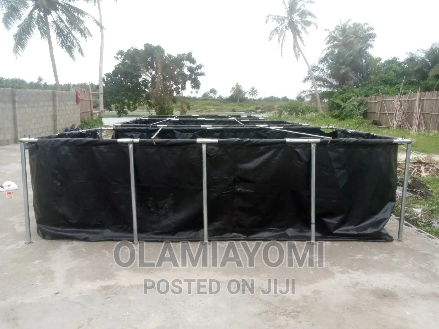 Affordable Fish Pond (Pay on Delivery)