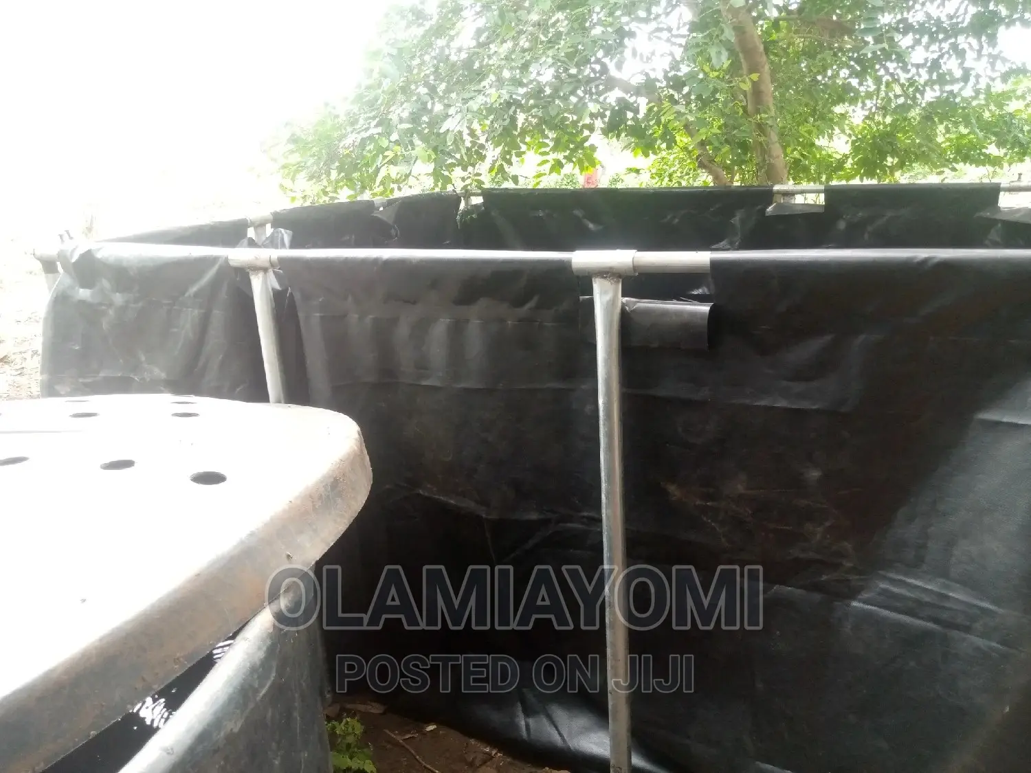 Affordable Fish Pond (Pay on Delivery)