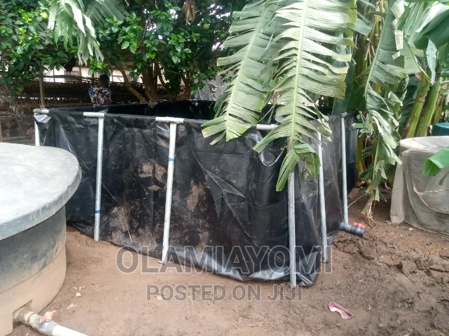 Affordable Fish Pond (Pay on Delivery)
