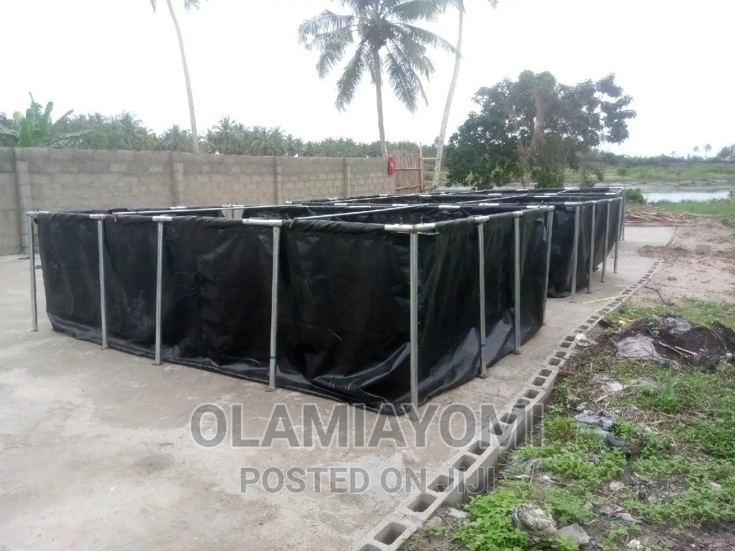 Affordable Fish Pond (Pay on Delivery)
