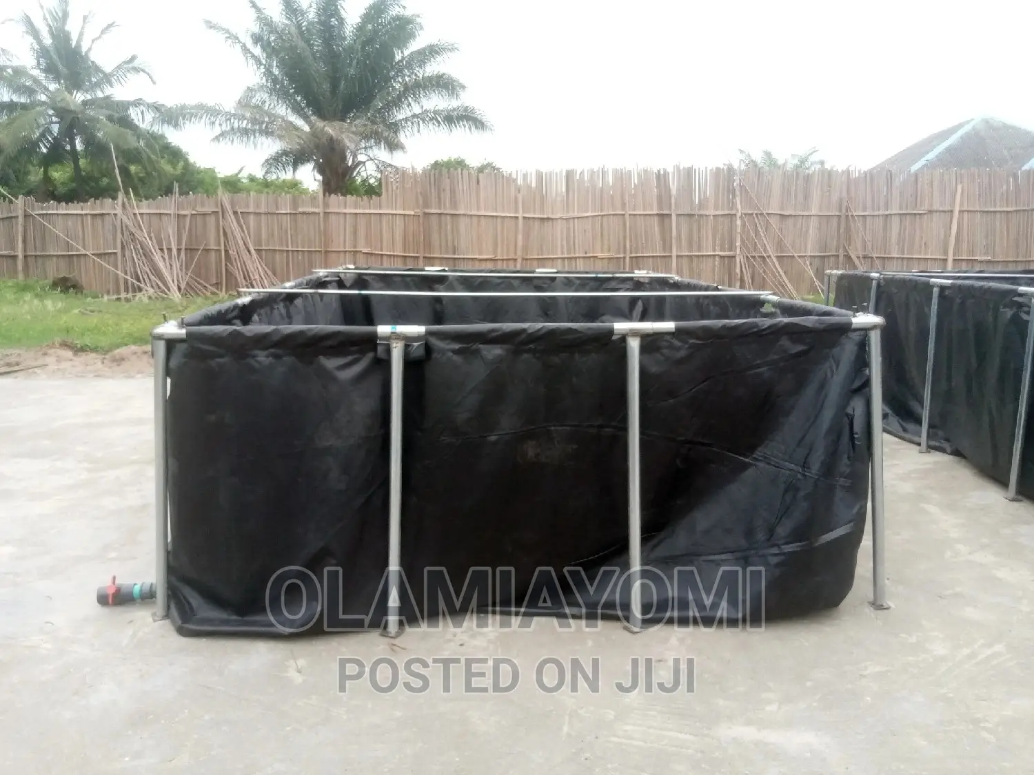 Affordable Fish Pond (Pay on Delivery)
