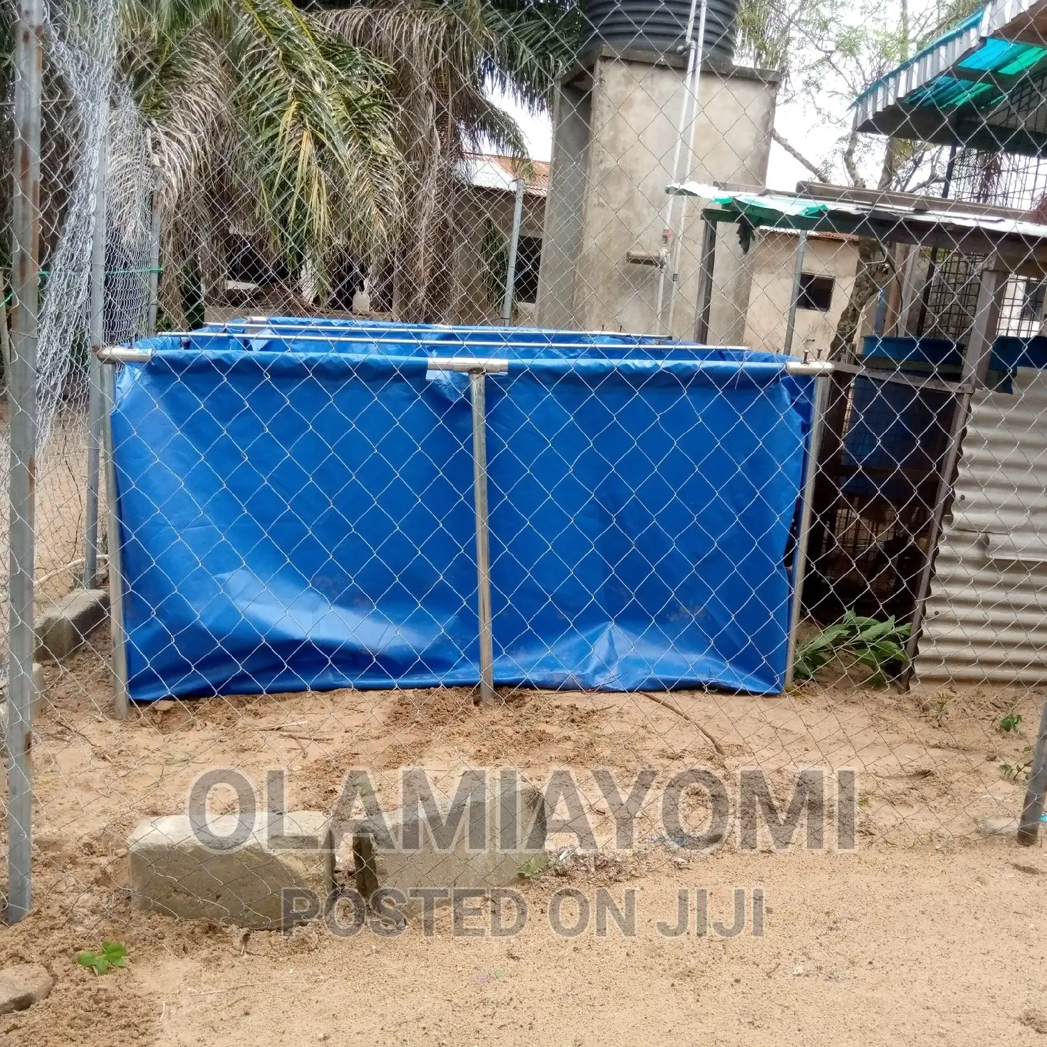 Affordable Fish Pond (Pay on Delivery)