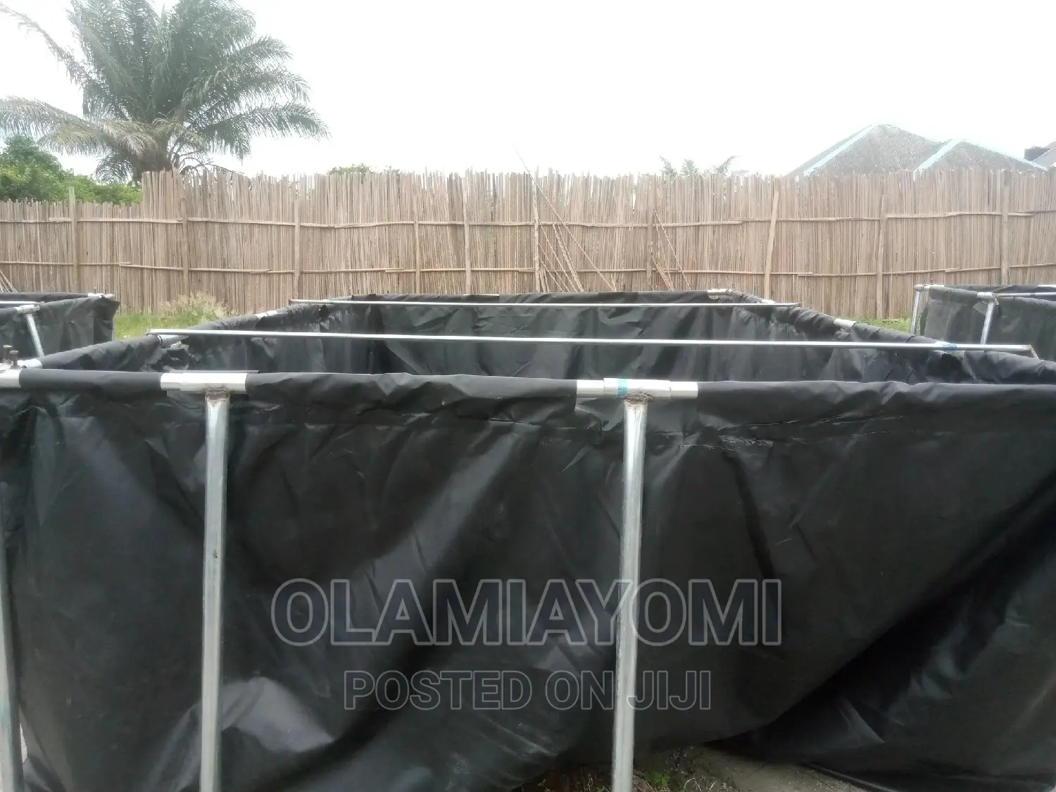 Affordable Fish Pond (Pay on Delivery)