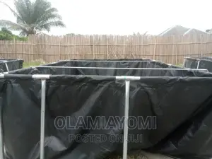 Affordable Fish Pond (Pay on Delivery)