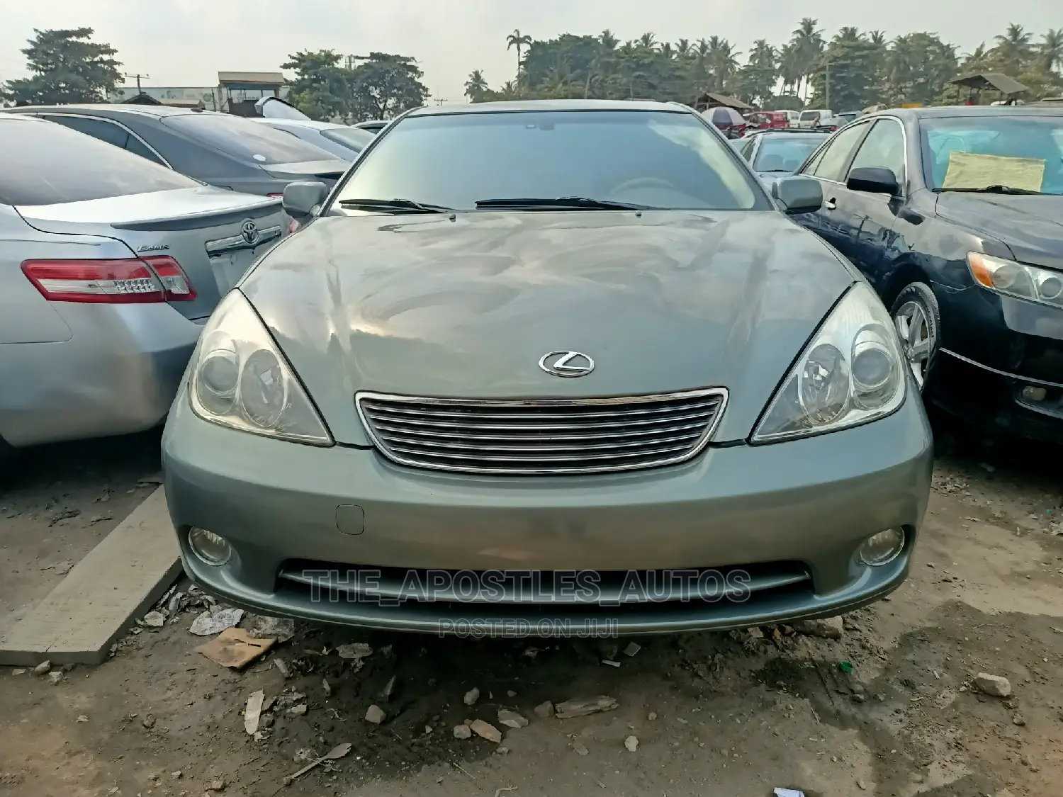 Lexus ES 330 2006 Green