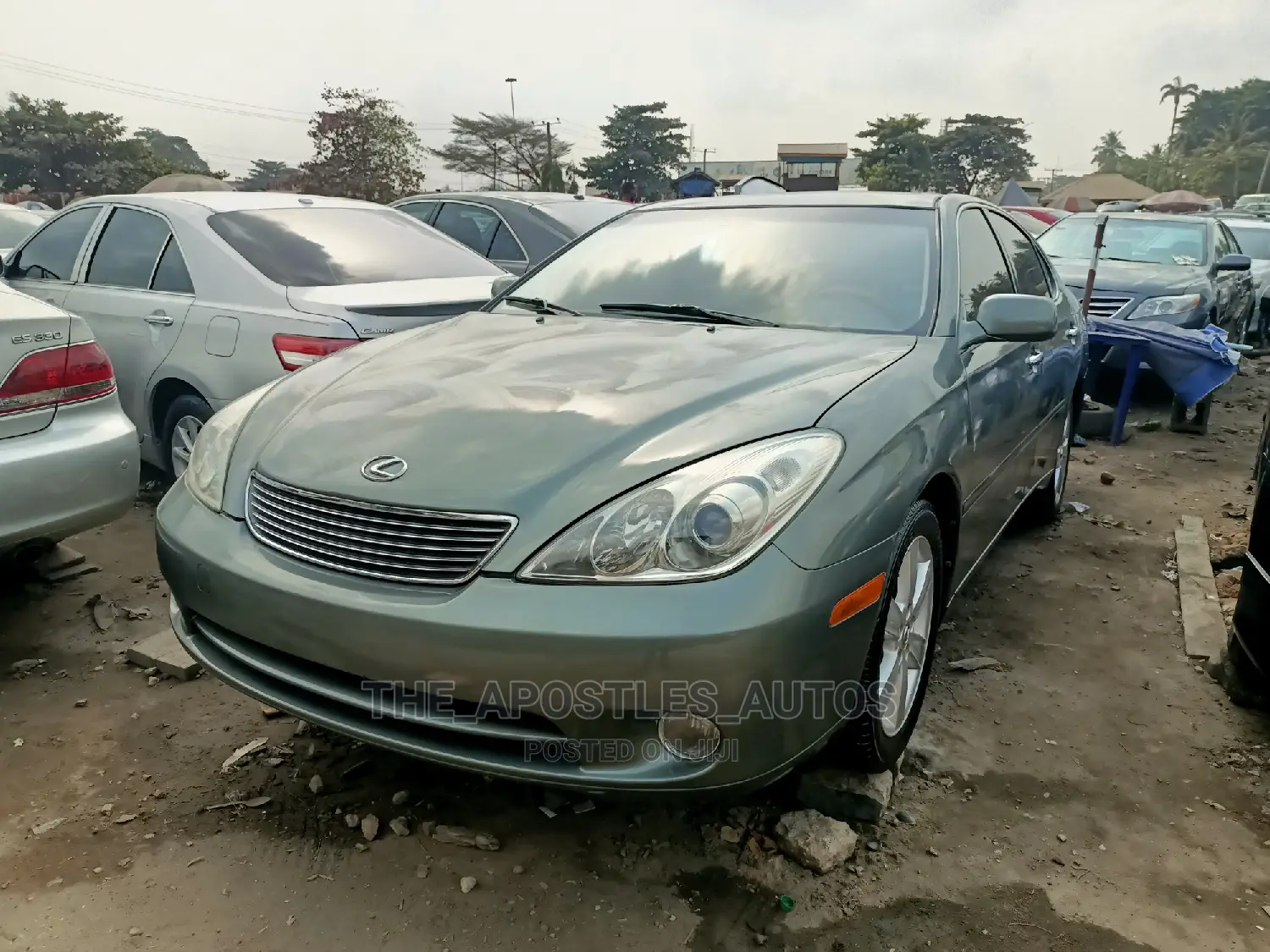 Lexus ES 330 2006 Green
