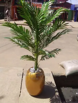 Gold Plant Flowers