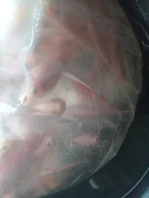 Red Tilapia Juvenile