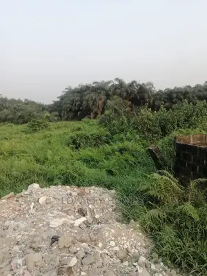 Lovely Plot of Land for Sale at Ogun State