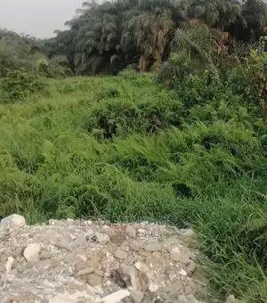 Dry Plot of Land for Sale at Good Price