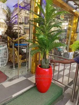 Out Door Flower Plant