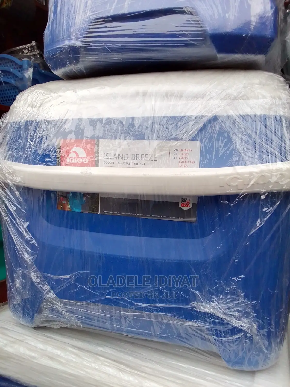 Igloo Cooler