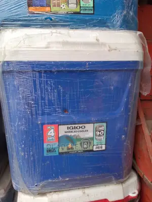 Igloo Warming Cooler