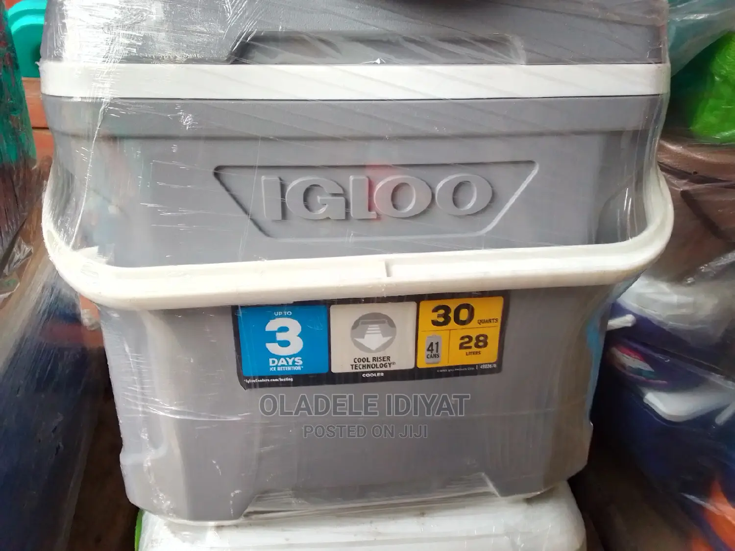 Igloo 28 Litres Warmer