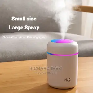 Mist Sprayer Portable Air Humidifier Aroma Oil Diffuser