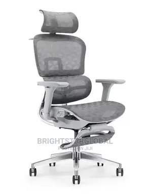Modern Executive Mesh Swivel Ergonomic Office Chair.