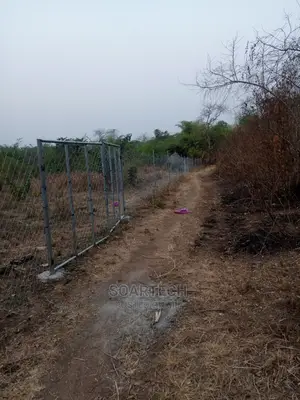 Chain Link Security Fencing