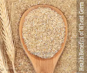 Organic Wheatgerm - 500g