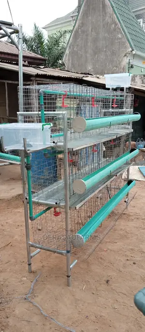 Chicken Cage for Both Broiler and Layers