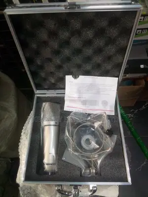 Professional Studio Microphone