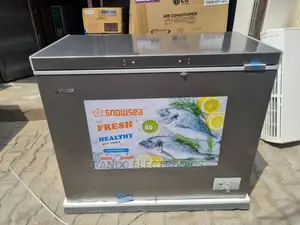 Photo - Snowsea Bd-308g Chest Freezer