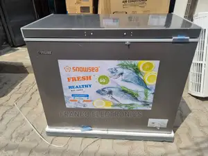 Photo - Snowsea 250l Chest Freezer