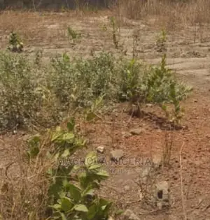 500sqm for Sale at Ifako Ogba With a Demolishable Bungalow