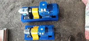 Complete Rotoel Twin Gear Stainless Steel Pump