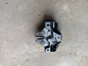Rx350 2012 and 2018 Model Bonnet Catcher