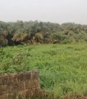 Plots of Land for Sale at Ajah Axis