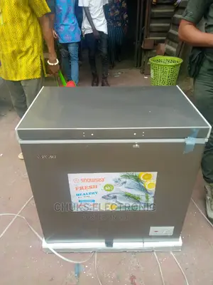 Snowsea Deep Freezer 200L