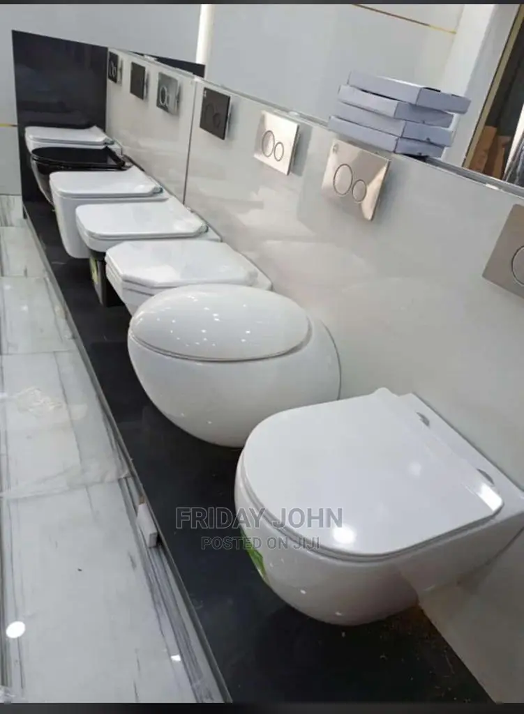 Concealed Toilet