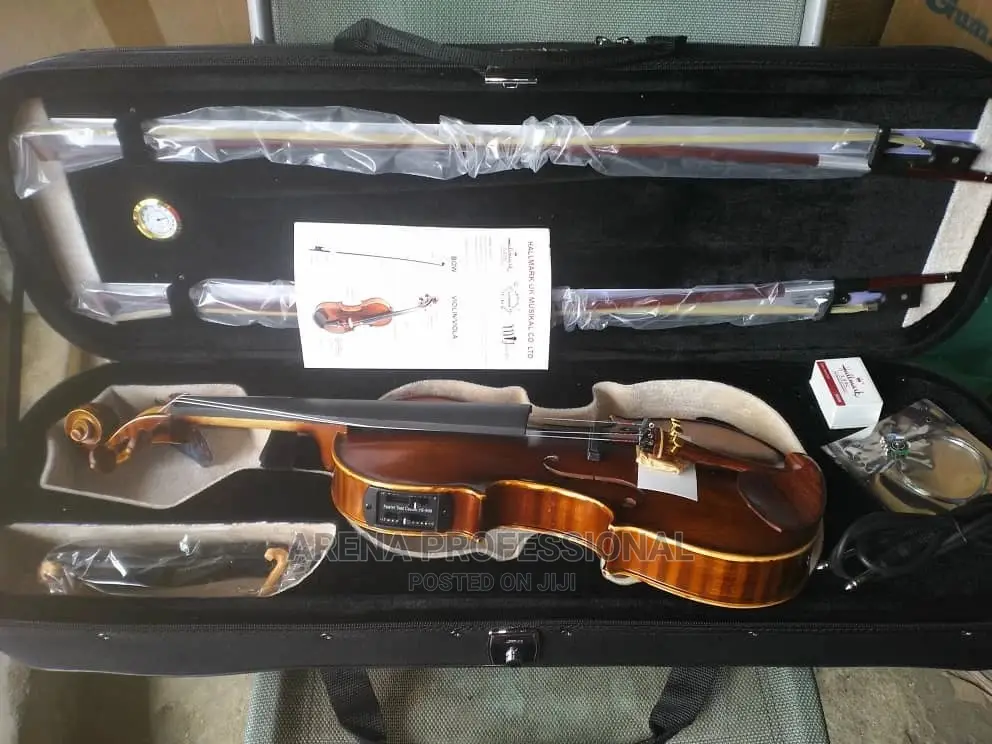 Hallmark HEV100 Concert Violin