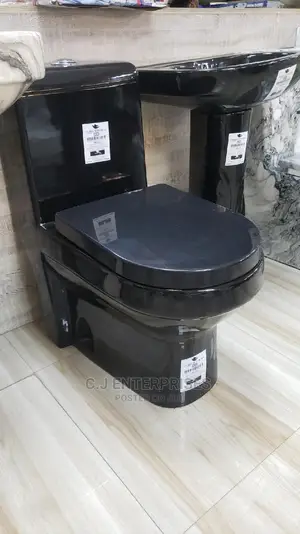 Executive Black Color Water Closet