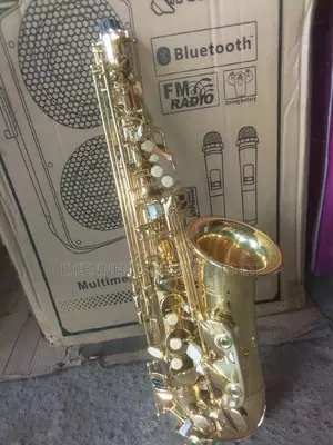 Professional Gold Alto Saxophone