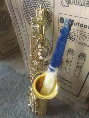 Professional Gold Alto Saxophone